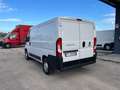 Fiat Ducato (PC) 30 Ch1 / L1H1 2.3 Multijet 16v 130cv FURGONE Bianco - thumbnail 5