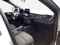 Ford Kuga 2.0 EcoBlue Aut. ST-LINE, AHK, GJR, LED Plateado - thumbnail 9