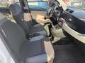 Fiat Panda 1.3 MJT S&S Lounge Bianco - thumbnail 10