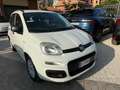 Fiat Panda 1.3 MJT S&S Lounge Bianco - thumbnail 1