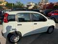 Fiat Panda 1.3 MJT S&S Lounge Bianco - thumbnail 8