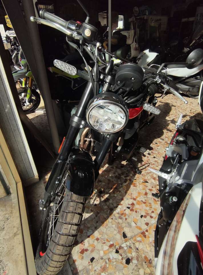 Royal Enfield Interceptor bear
