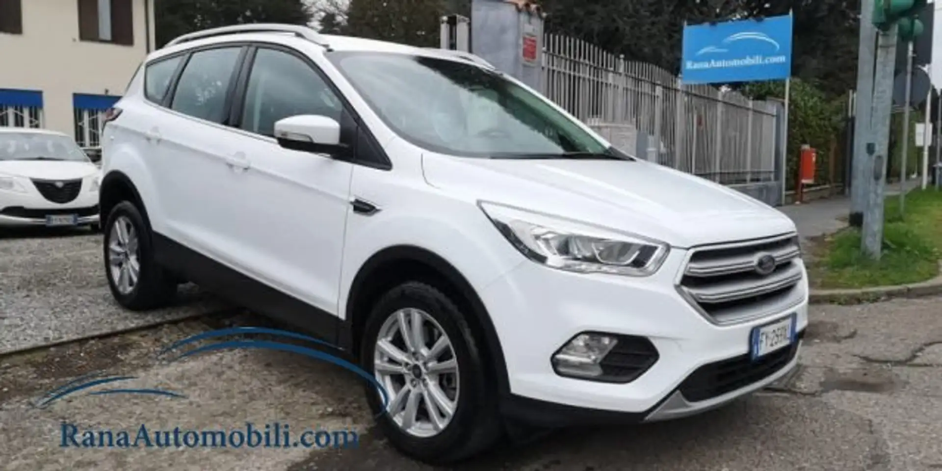 Ford Kuga 2.0 tdci Business 6Dtemp KM 59000 Bianco - 1