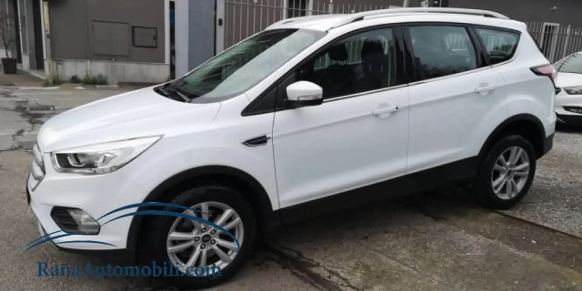 Ford Kuga 2.0 tdci Business 6Dtemp KM 59000 Bianco - 2