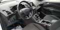 Ford Kuga 2.0 tdci Business 6Dtemp KM 59000 Bianco - thumbnail 7