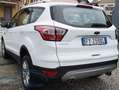 Ford Kuga 2.0 tdci Business 6Dtemp KM 59000 Bianco - thumbnail 10