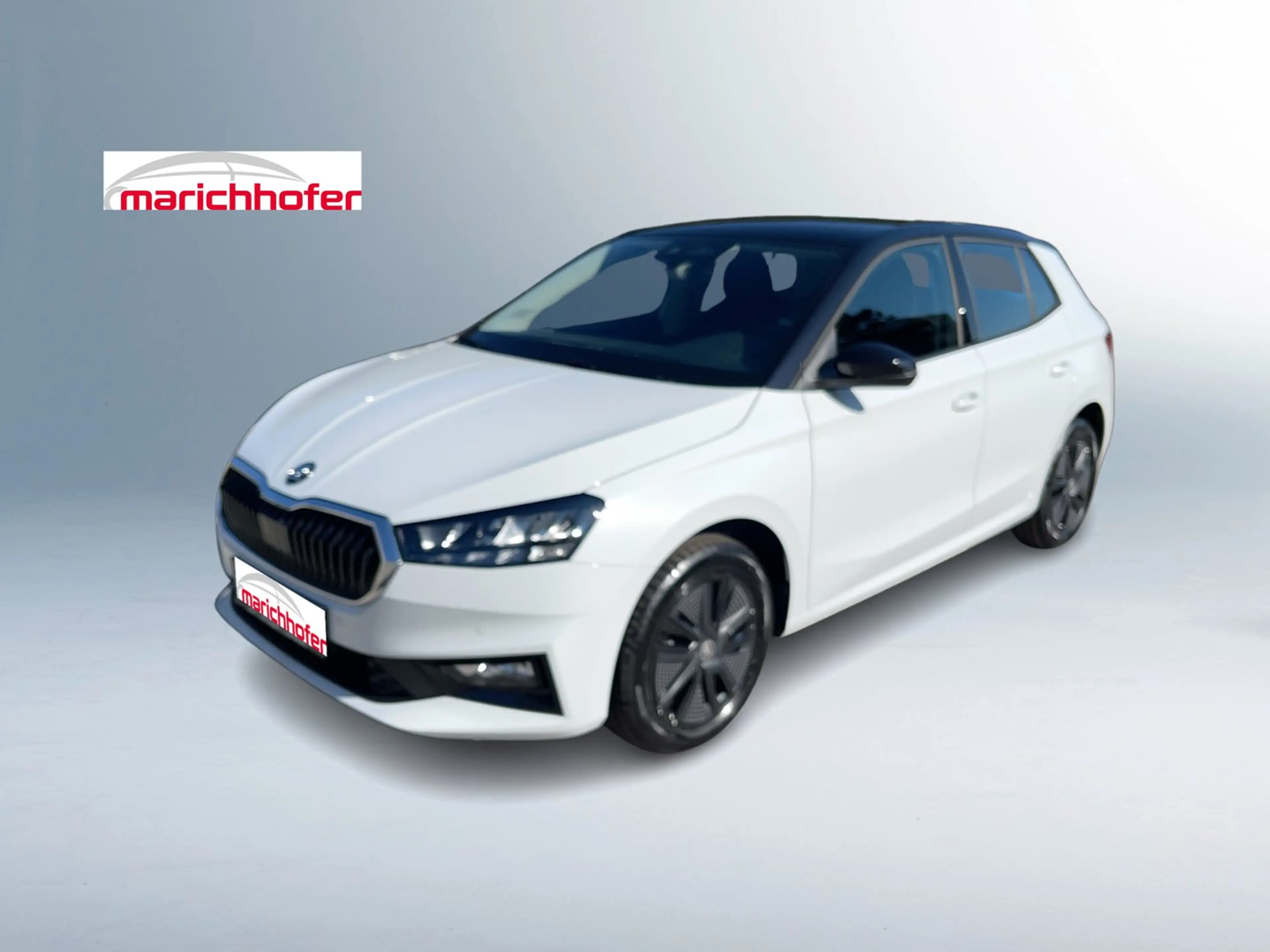 Skoda Fabia Selection TSI — photo 13