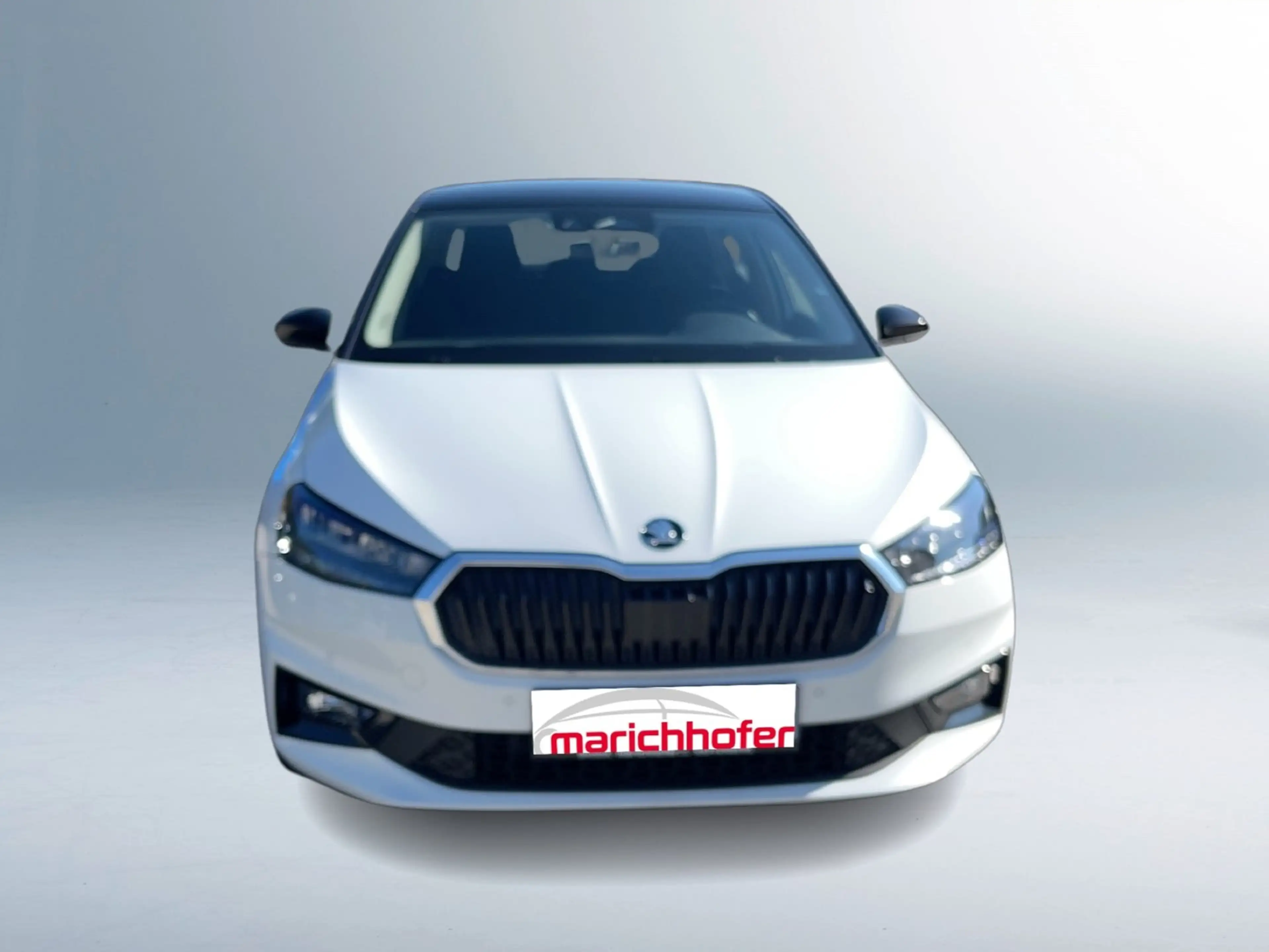 Skoda Fabia Selection TSI — photo 7