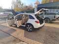 Mercedes-Benz GLC 250 GLC-Klasse GLC 250d Exclusive 4MATIC Aut. 204PS Weiß - thumbnail 5