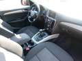 Audi Q5 2.0 TDI 150 CV clean diesel quattro Advanced Plus Nero - thumbnail 10