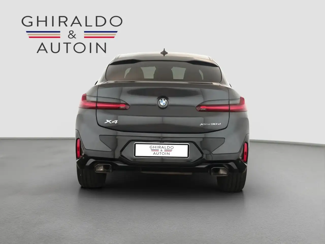 BMW X4 X4 xDrive30d Msport Tetto Navi Matrix 3