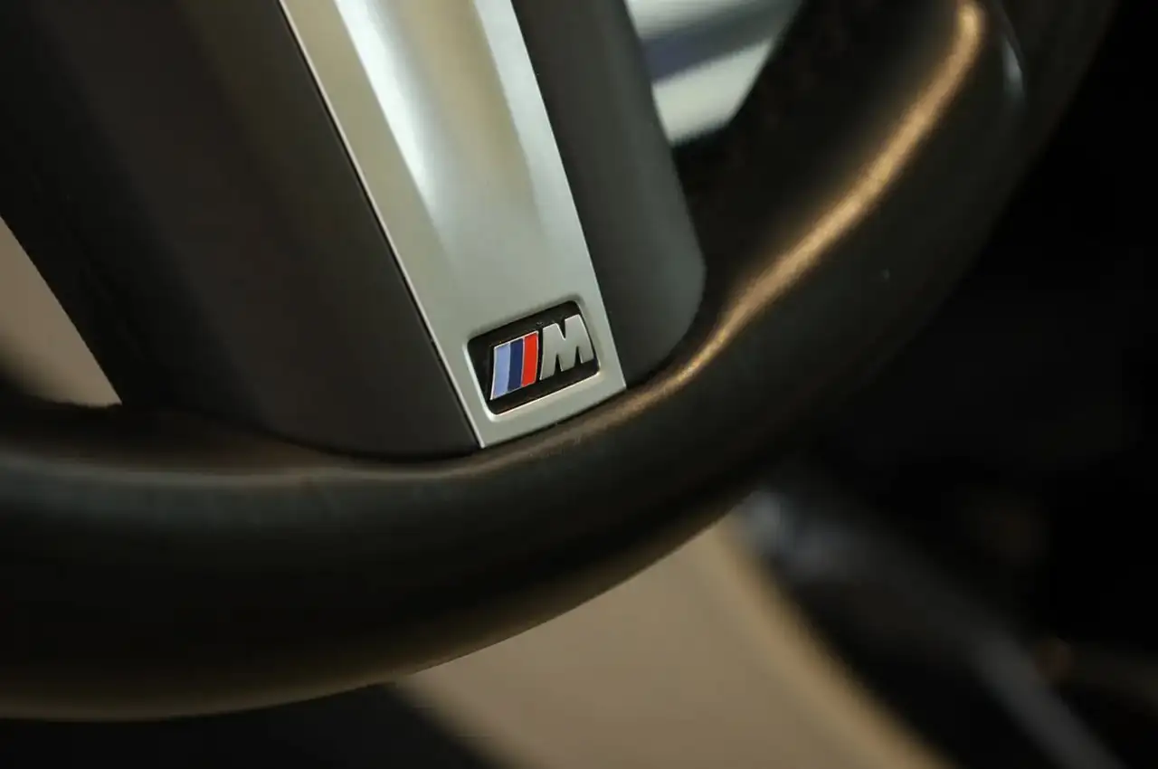 BMW X4 X4 xDrive30d Msport Tetto Navi Matrix 10