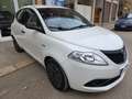Lancia Ypsilon LANCIA YPSILON 1.2 69CV 5 PORTE GPL ELEFANTINO BLU Bianco - thumbnail 4