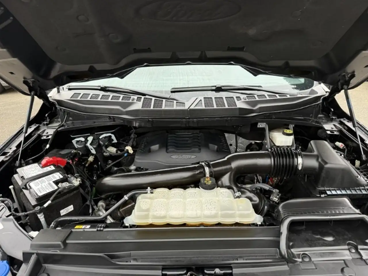Ford F 150 fotografie Ford F 150