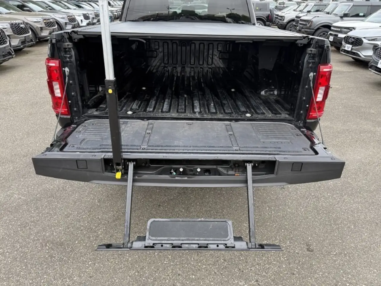 Ford F 150 fotografie Ford F 150