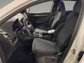 Skoda Karoq 4x4 SPORTLINE TSI DSG Bianco - thumbnail 6