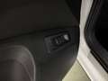 Skoda Karoq 4x4 SPORTLINE TSI DSG Bianco - thumbnail 12