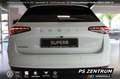Skoda Superb Combi 2.0 TDI DSG Selection NEU.Modell Matr Weiß - thumbnail 5