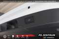 Skoda Superb Combi 2.0 TDI DSG Selection NEU.Modell Matr Weiß - thumbnail 17