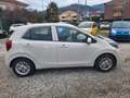 Kia Picanto 1.0 12V 5p. Urban Special Edition Beige - thumbnail 8