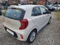 Kia Picanto 1.0 12V 5p. Urban Special Edition Beige - thumbnail 7