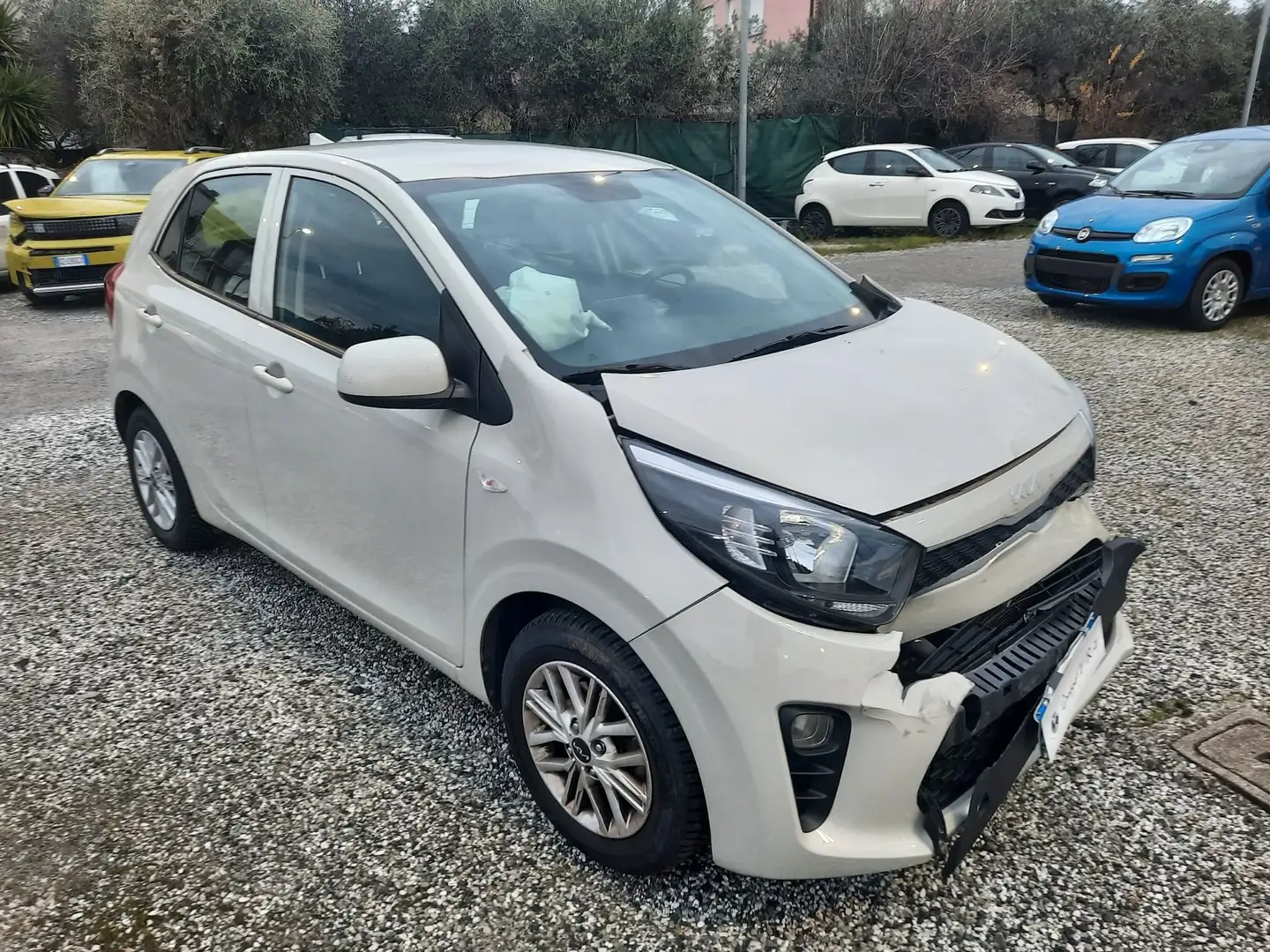 Kia Picanto 1.0 12V 5p. Urban Special Edition Beige - 1