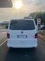 Volkswagen T5 Caravelle AUTOCARRO N1. -PREZZO + IVA - Biały - thumbnail 4