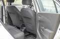 Chevrolet Aveo Aveo 1,2 LT LT Weiß - thumbnail 11