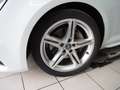 Audi A4 2.0 TDI quattro Sport Weiß - thumbnail 4