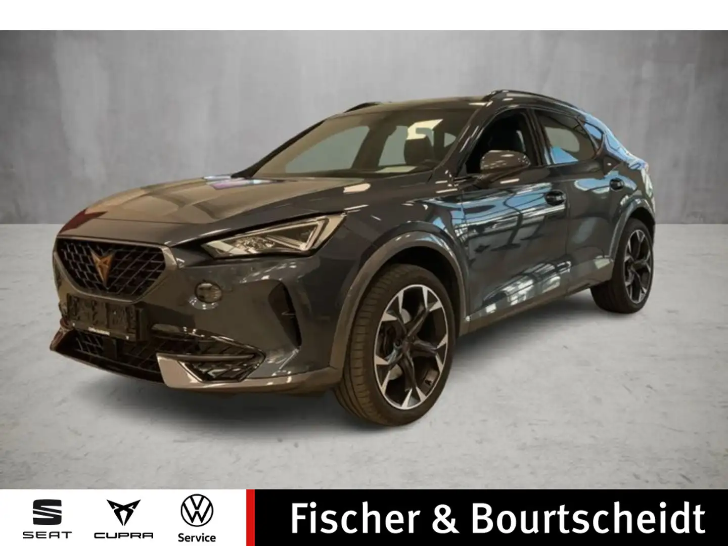CUPRA Formentor 1.5 TSI DSG ACC PDC FULL Grau - 1