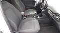 Ford Fiesta Titanium*SHZ*GRA* Weiß - thumbnail 9