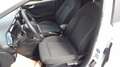 Ford Fiesta Titanium*SHZ*GRA* Weiß - thumbnail 13