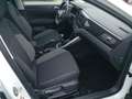 Volkswagen Polo Life 1.0 TSI LED AppConnect PDC SHZ Klima Weiß - thumbnail 14