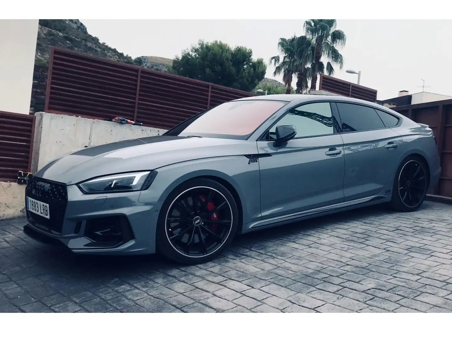 Audi RS5 RS5 Sportback 2.9 TFSI quattro tiptronic 331kW Gris - 2