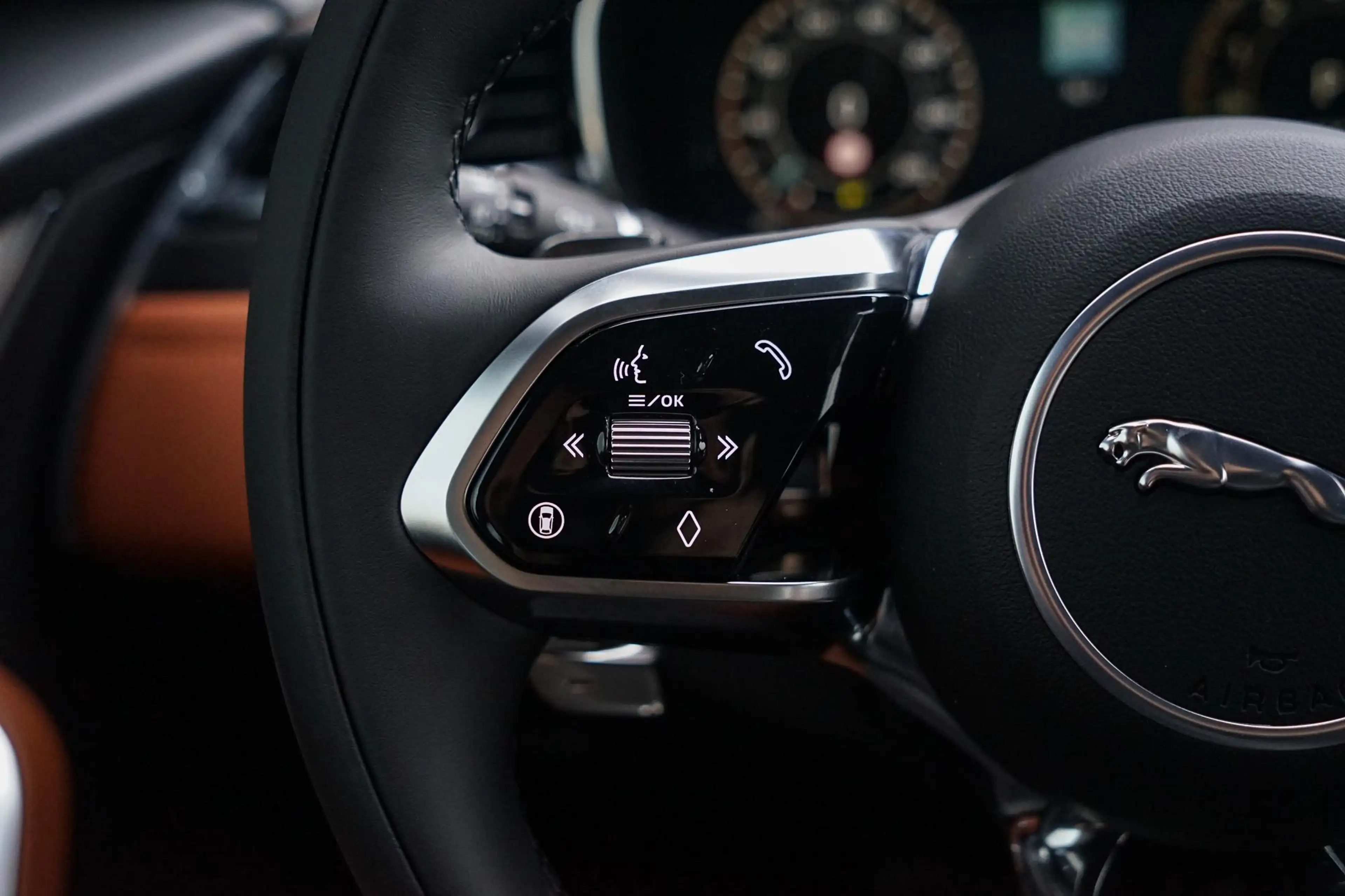 Jaguar F-Pace P400e R-Dynamic SE | Meridian Audio | Panoramisch — photo 15