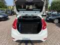 Ford Fiesta Fiesta 5p 1.4 tdci Titanium FL Bianco - thumbnail 4