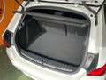 BMW 116 116d Business Blanco - thumbnail 28