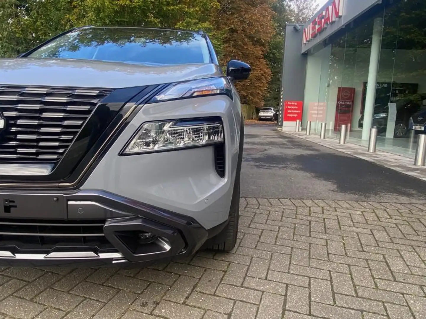 Nissan X-Trail N-TREK e-FORCE Grijs - 2