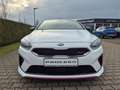 Kia ProCeed / pro_cee'd 1.6 T-GDi 204 GT Navi & Komfortpaket ACC AHK Blanc - thumbnail 2