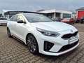 Kia ProCeed / pro_cee'd 1.6 T-GDi 204 GT Navi & Komfortpaket ACC AHK Blanc - thumbnail 3