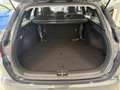 Kia Ceed SW / cee'd SW ceed SW 1,0 T-GDI GPF ISG Silber +P2 Grau - thumbnail 13