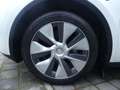 Tesla Model Y RWD Autopilot PANO/ACC/360"KAM Blanc - thumbnail 19