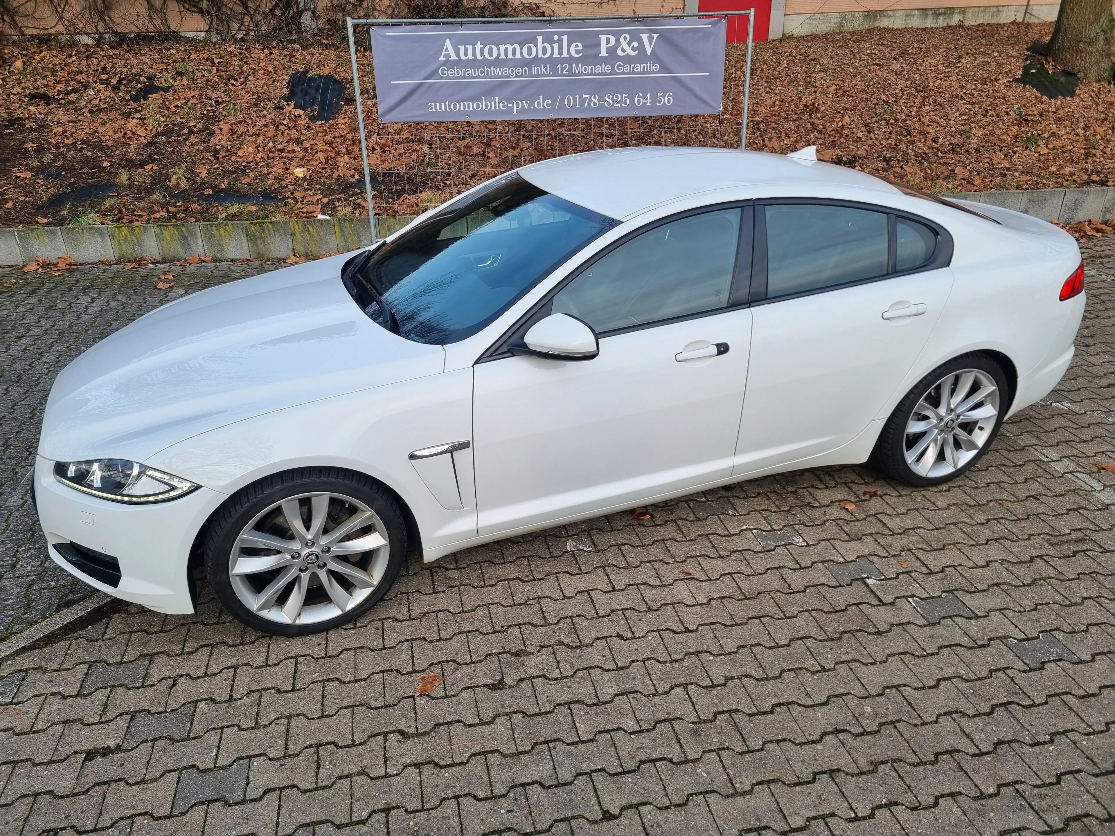 Jaguar XF 3.0 V6 Sport*Leder*Navi*Xenon*Sitzh*PDC* — photo 5