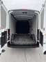 Ford Transit Kasten 2,0 EcoBlue L2H2 310 Trend - thumbnail 6