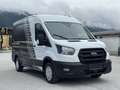 Ford Transit Kasten 2,0 EcoBlue L2H2 310 Trend - thumbnail 8