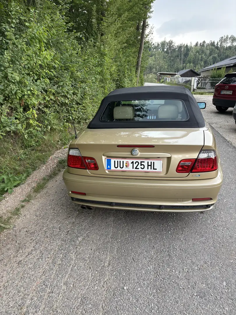 BMW 323 323Ci Cabrio Österreich-Paket Aut. - 1