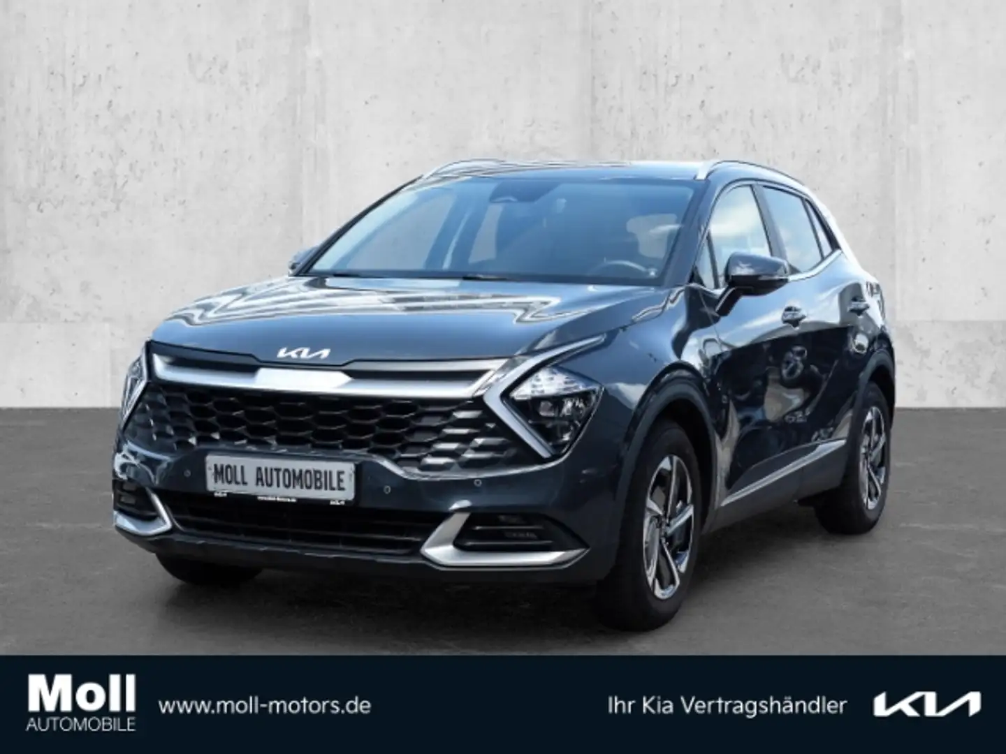 Kia Sportage Vision 4WD Mild-Hybrid Navi Digitales Cockpit LED Gris - 1