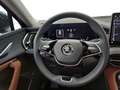Skoda Kodiaq Selection 4x4 2.0 TDI DSG, 7-SITZE/STHZG/ Negru - thumbnail 13