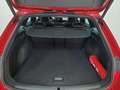 SEAT Leon SP 1,0 eTSI ACT Xcellence DSG, AHK, Panorama, A... Rot - thumbnail 26