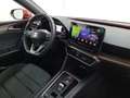 SEAT Leon SP 1,0 eTSI ACT Xcellence DSG, AHK, Panorama, A... Rot - thumbnail 31